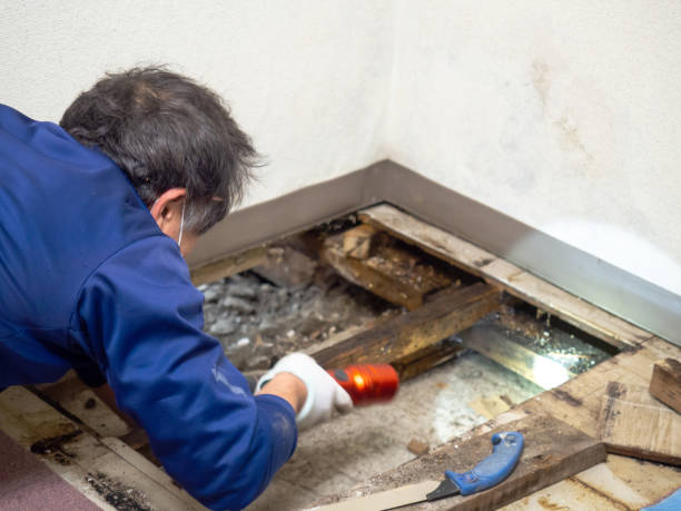 Best Water Damage Restoration  in Yorkville, NY
