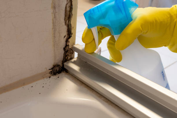 Best Crawl Space Mold Removal  in Yorkville, NY